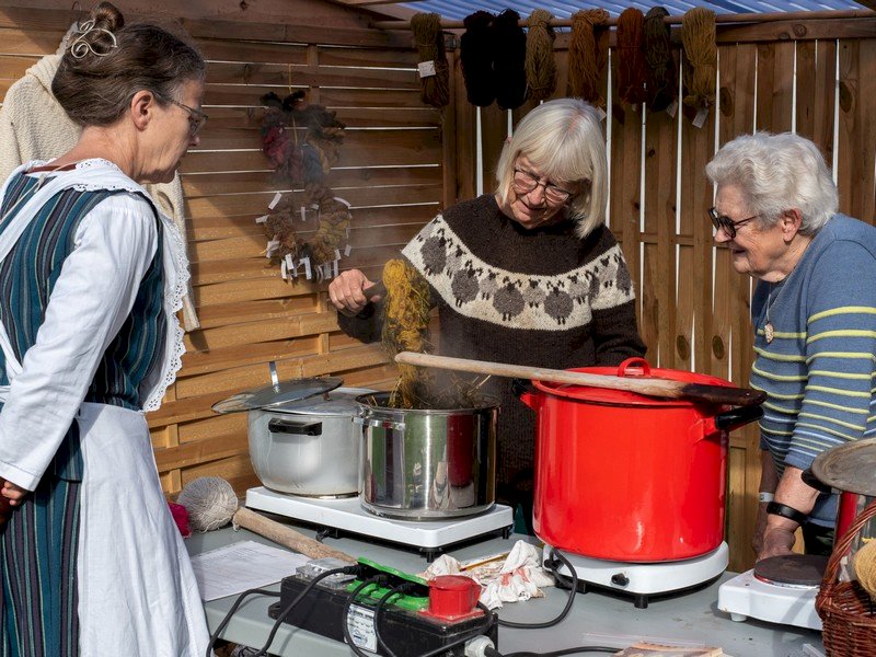 Fåret får fokus på Efterårets Dag