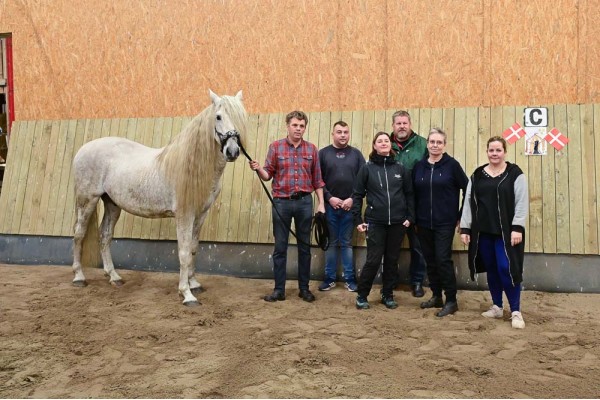 Den nye bestyrelse i Farsø Rideklub: Fra venstre ses Mads Bruntse, Alex Jensen, Mai Britt Hemmingsen, Kenneth Thomsen, Lita Villumsen og Sabina Eriksen.  

